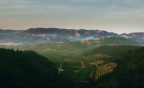 D-Drone - Grabación aérea profesional