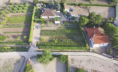 D-Drone - Grabación aérea profesional