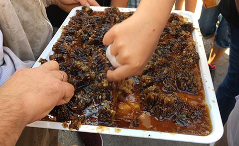 D-Drone - Grabación aérea profesional